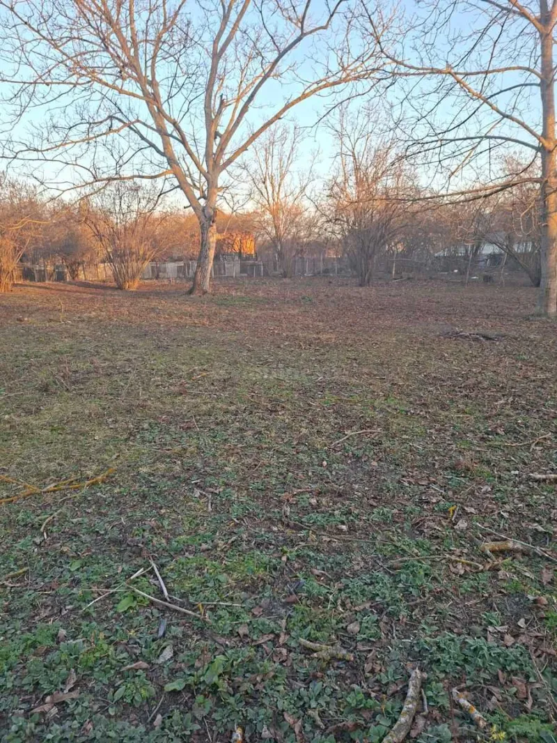 Satılır Torpaq 20 sot Qəbələ - şəkil 4