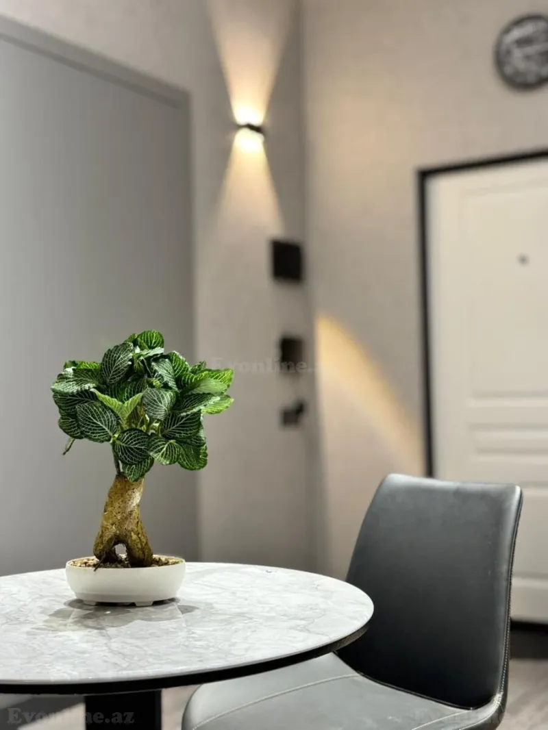 Satılır 1 otaqlı Mənzil Köhnə tikili 50 m² Sahil m. - şəkil 5