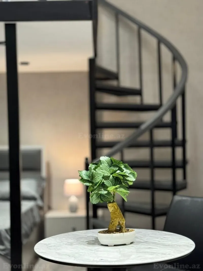 Satılır 1 otaqlı Mənzil Köhnə tikili 50 m² Sahil m. - şəkil 13