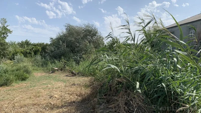 Satılır Torpaq 20 sot Sumqayıt - şəkil 4