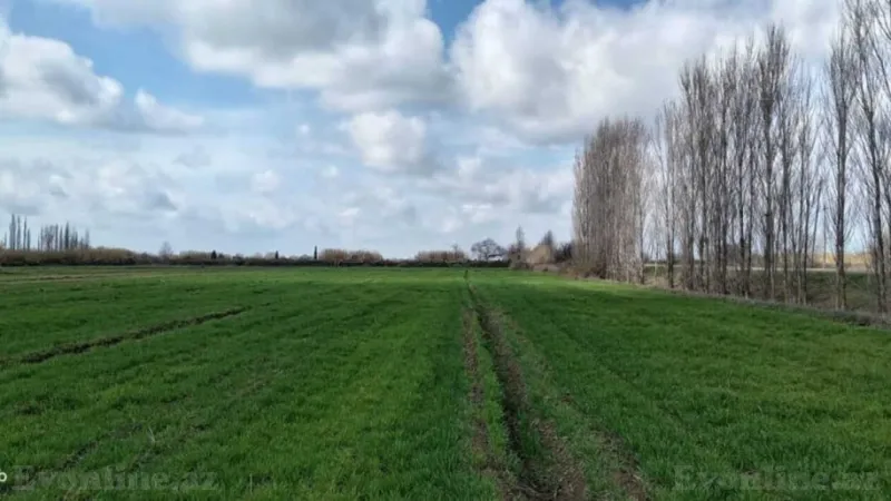 Satılır Torpaq 233 sot Bərdə