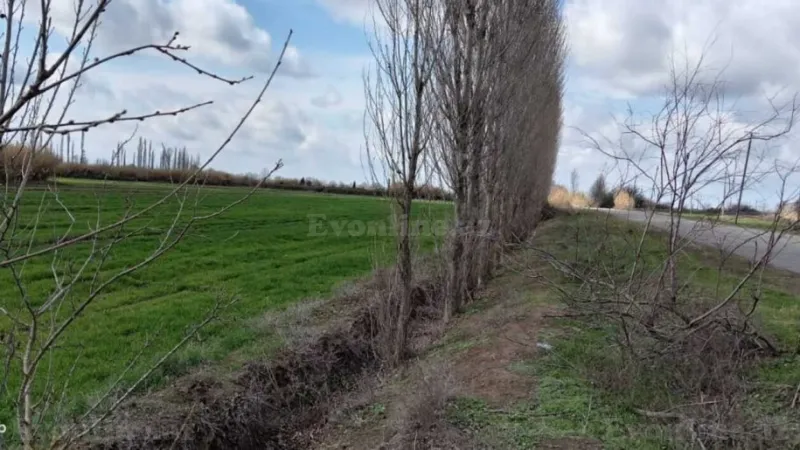 Satılır Torpaq 233 sot Bərdə - şəkil 2