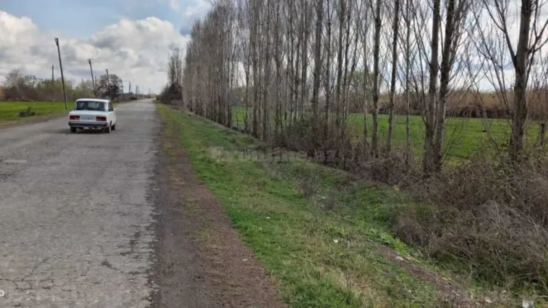 Satılır Torpaq 233 sot Bərdə - şəkil 3