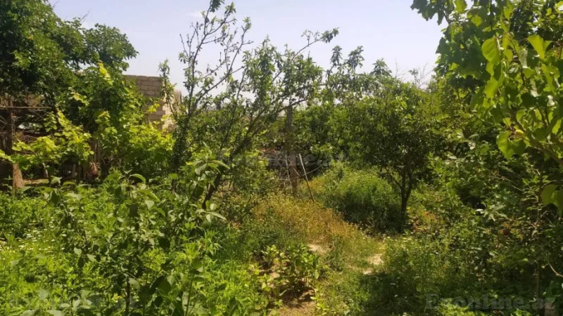 Satılır Torpaq 4 sot Saray