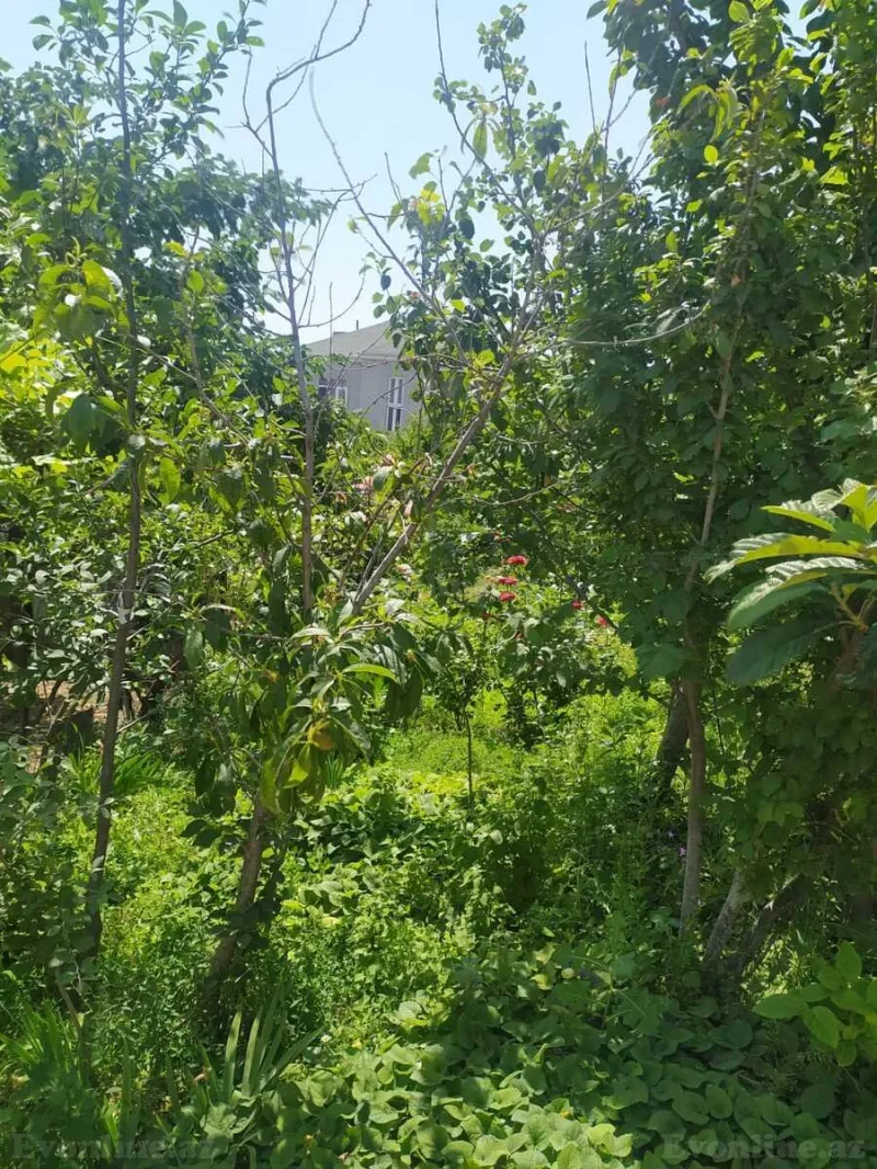 Satılır Torpaq 4 sot Saray - şəkil 3