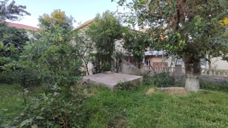 Satılır Torpaq 7 sot Badamdar - şəkil 2