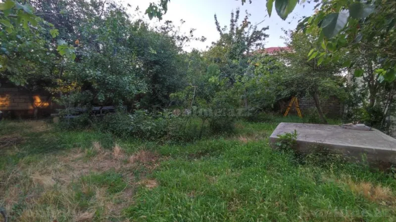 Satılır Torpaq 7 sot Badamdar - şəkil 5