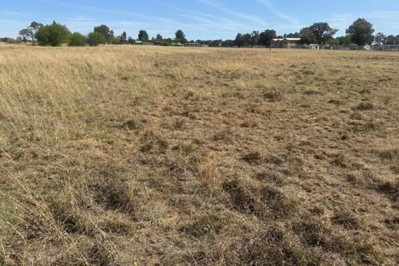 Satılır Torpaq 100 sot Suraxanı