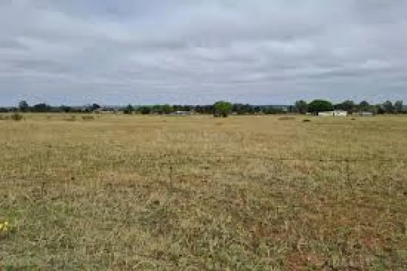 Satılır Torpaq 100 sot Suraxanı - şəkil 2