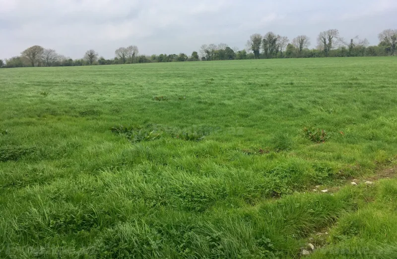 Satılır Torpaq 100 sot Suraxanı - şəkil 3