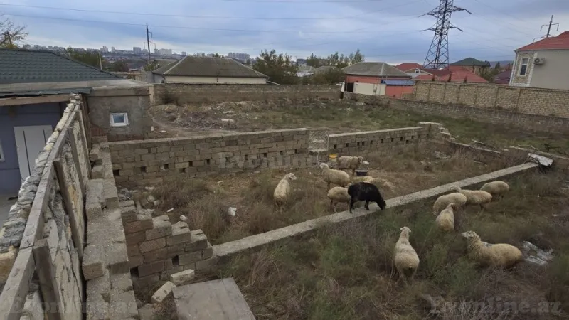 Satılır Torpaq 12 sot Biləcəri - şəkil 7