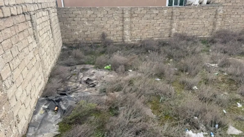 Satılır Torpaq 2 sot Binə - şəkil 2