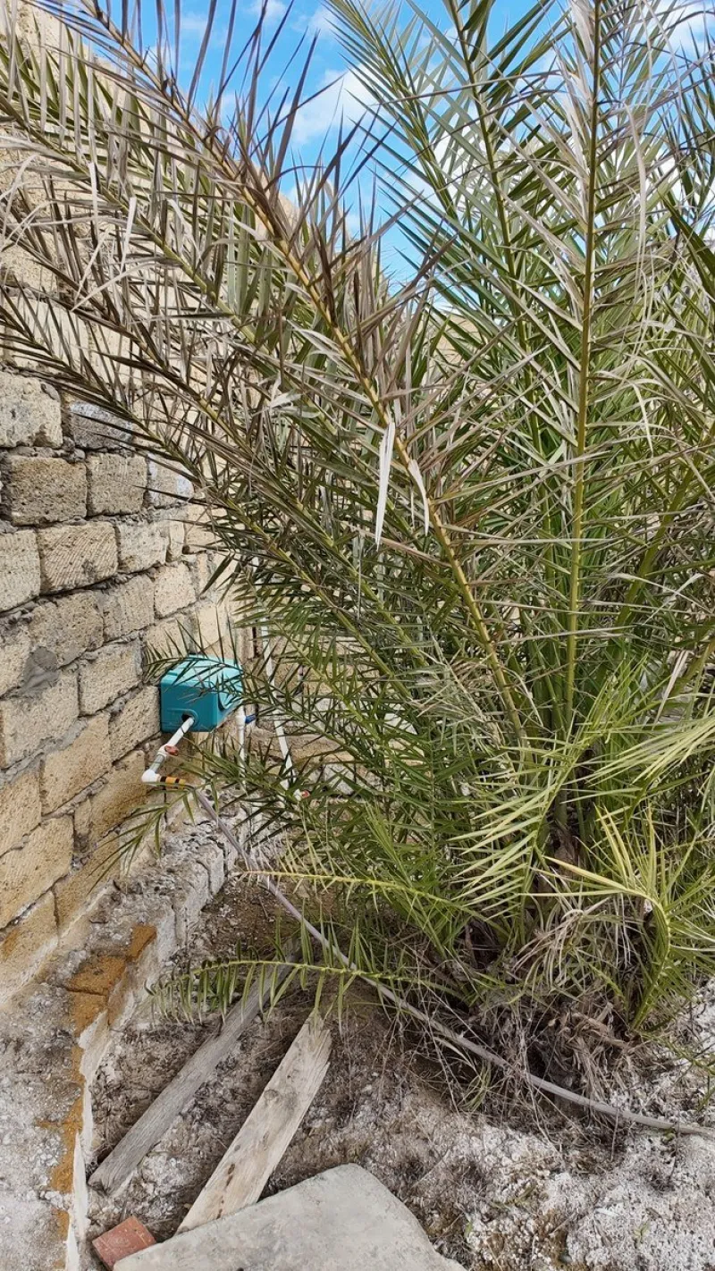 Satılır Torpaq 2 sot Novxanı - şəkil 3