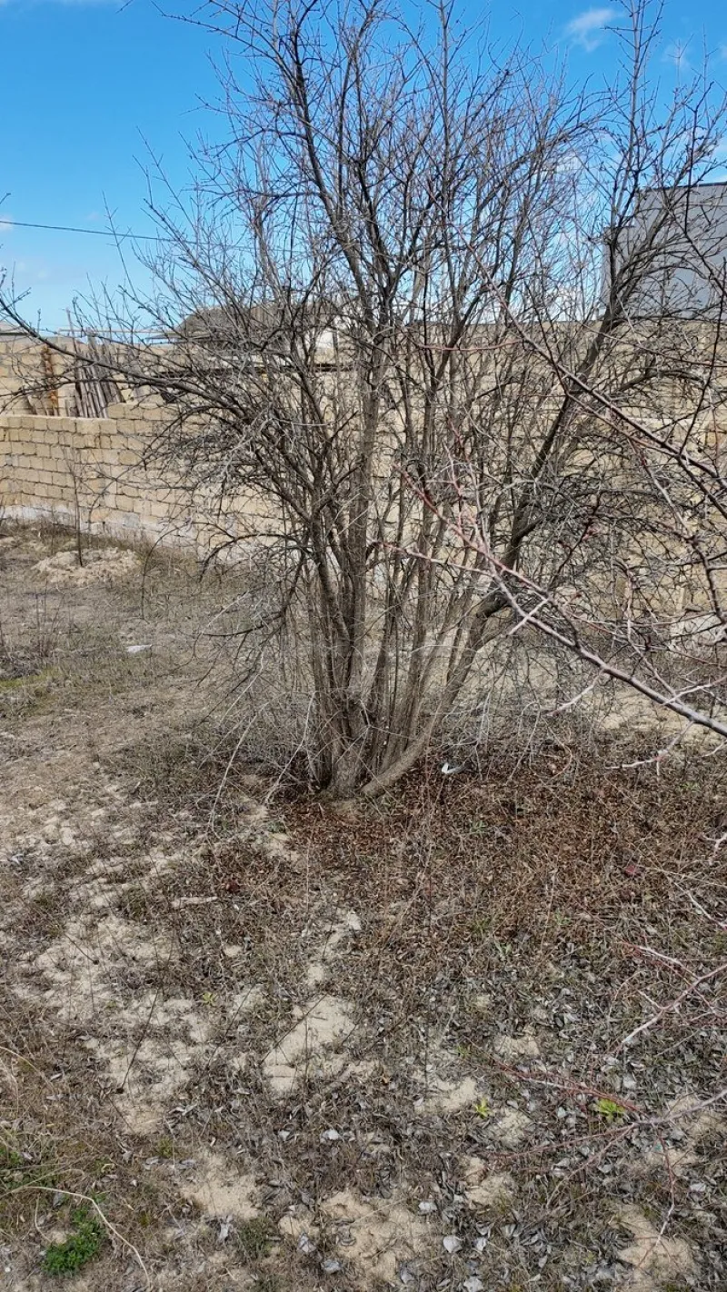 Satılır Torpaq 2 sot Novxanı - şəkil 6