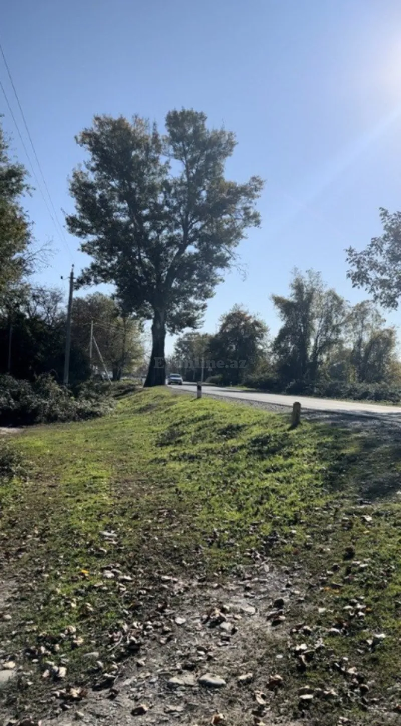 Satılır Torpaq 30 sot Qəbələ