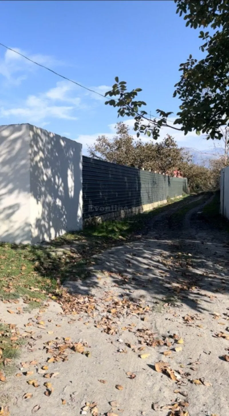 Satılır Torpaq 30 sot Qəbələ - şəkil 2