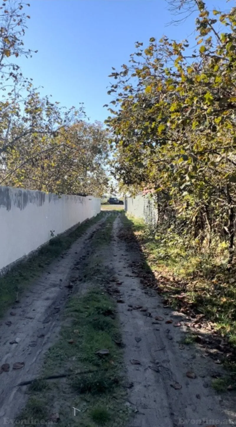 Satılır Torpaq 30 sot Qəbələ - şəkil 3