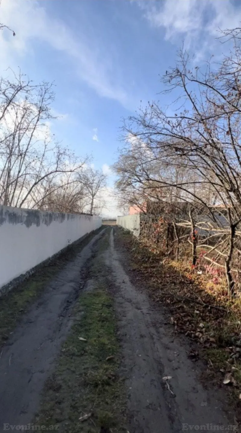Satılır Torpaq 30 sot Qəbələ - şəkil 4