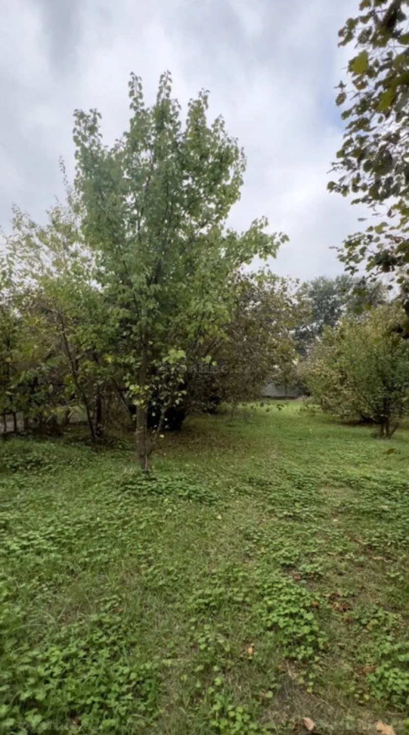 Satılır Torpaq 30 sot Qəbələ - şəkil 6