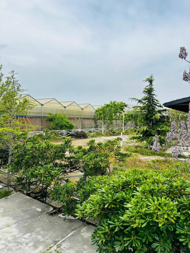 Satılır Obyekt 1500 m² Türkan