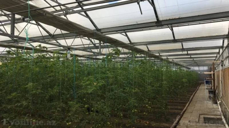 Satılır Obyekt 1500 m² Türkan - şəkil 4