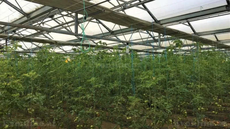 Satılır Obyekt 1500 m² Türkan - şəkil 6