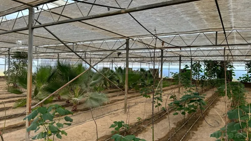 Satılır Obyekt 1500 m² Türkan - şəkil 11