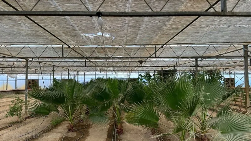 Satılır Obyekt 1500 m² Türkan - şəkil 12