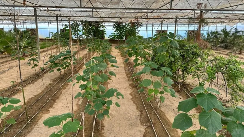 Satılır Obyekt 1500 m² Türkan - şəkil 13