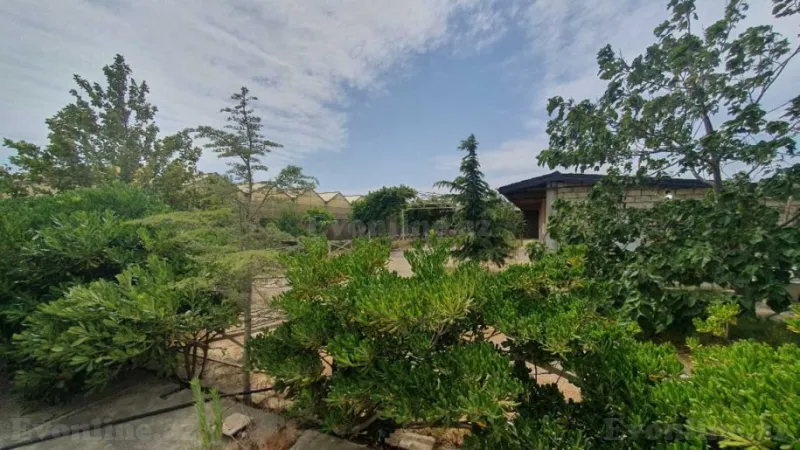 Satılır Obyekt 1500 m² Türkan - şəkil 19