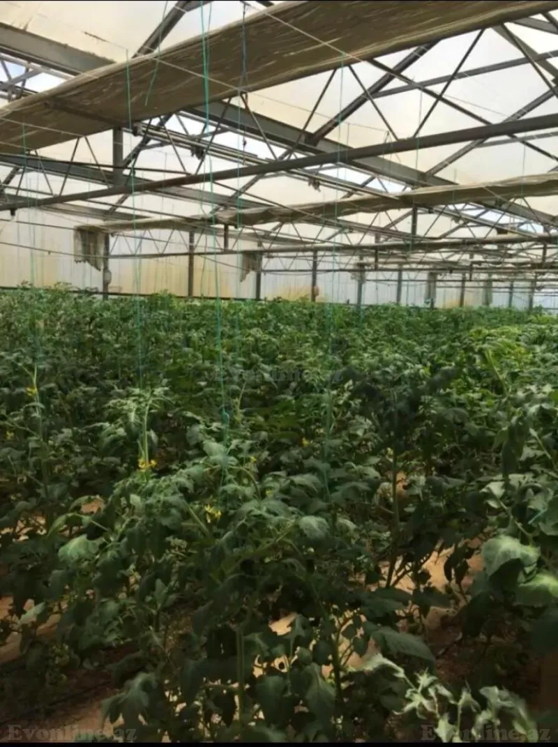 Satılır Obyekt 1500 m² Türkan - şəkil 23