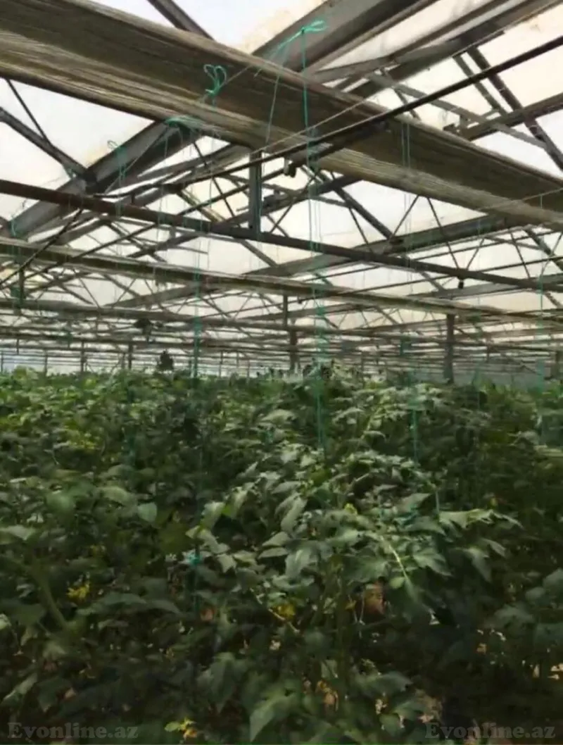 Satılır Obyekt 1500 m² Türkan - şəkil 24