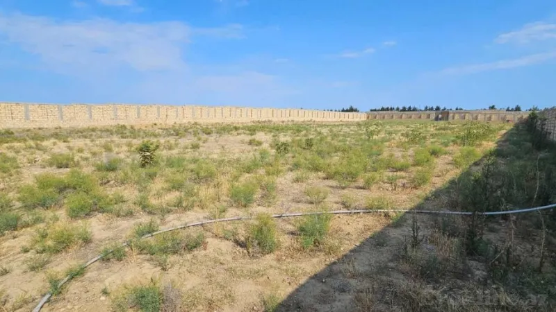 Satılır Torpaq 22 sot Novxanı