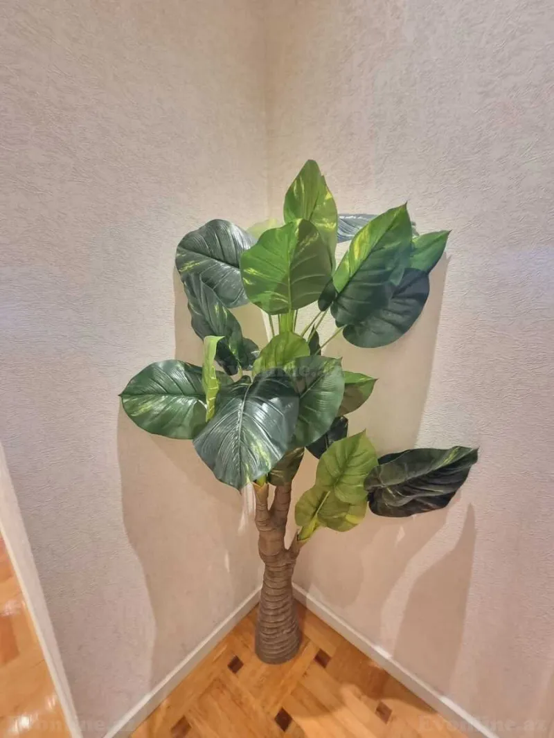 Satılır 4 otaqlı Mənzil Yeni tikili 170 m² Binəqədi r. - şəkil 23