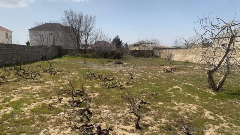 Satılır Torpaq 25 sot Nardaran - şəkil 6