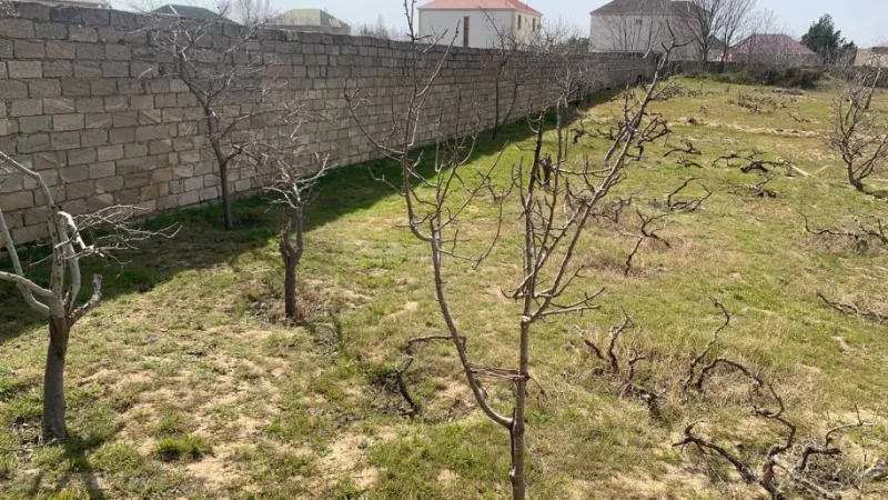 Satılır Torpaq 25 sot Nardaran - şəkil 7