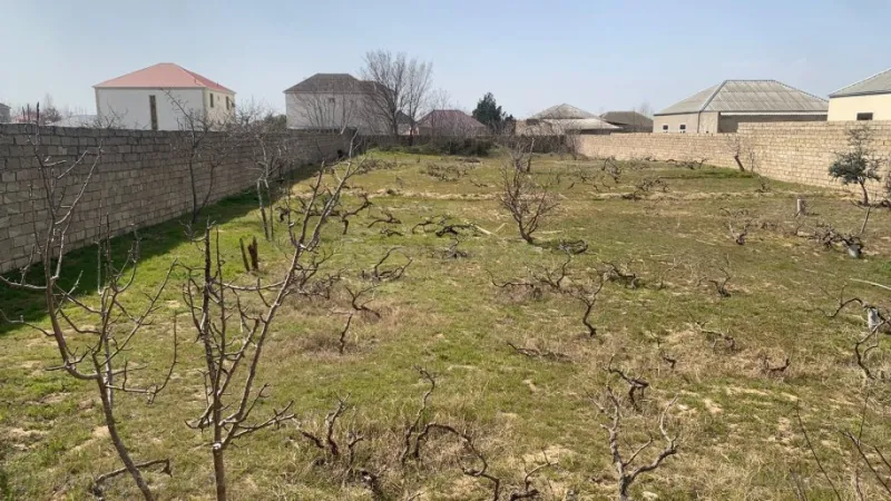 Satılır Torpaq 25 sot Nardaran - şəkil 8