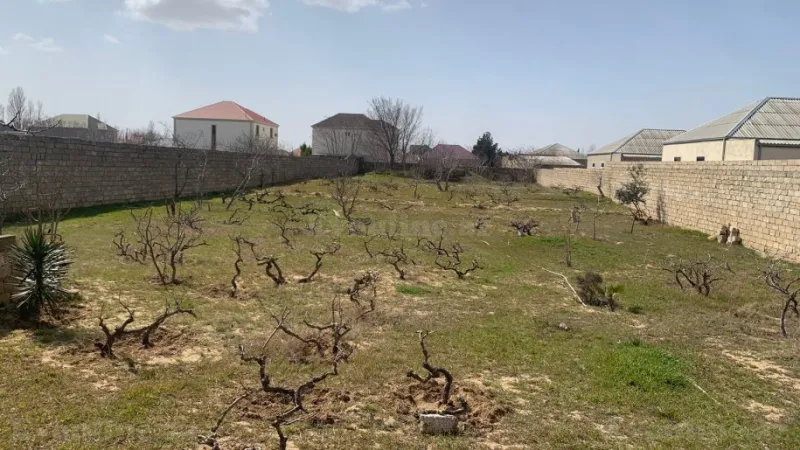 Satılır Torpaq 25 sot Nardaran - şəkil 9