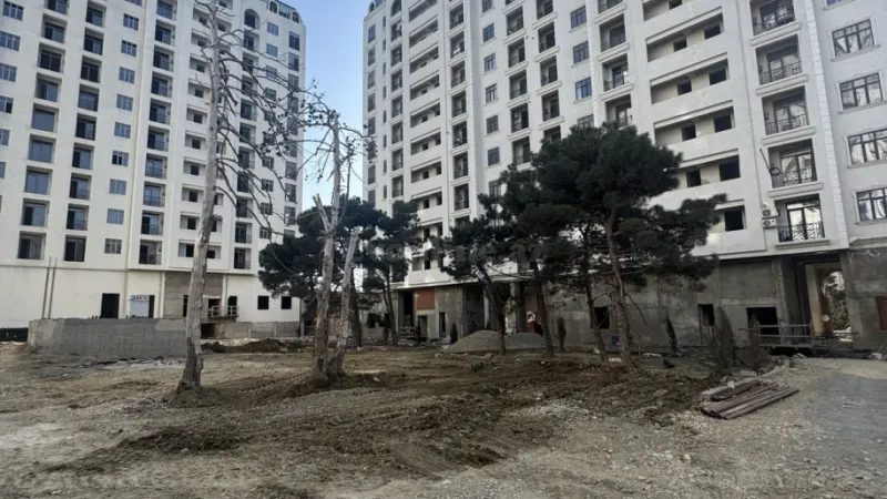 Satılır 3 otaqlı Mənzil Yeni tikili 114 m² Əhmədli