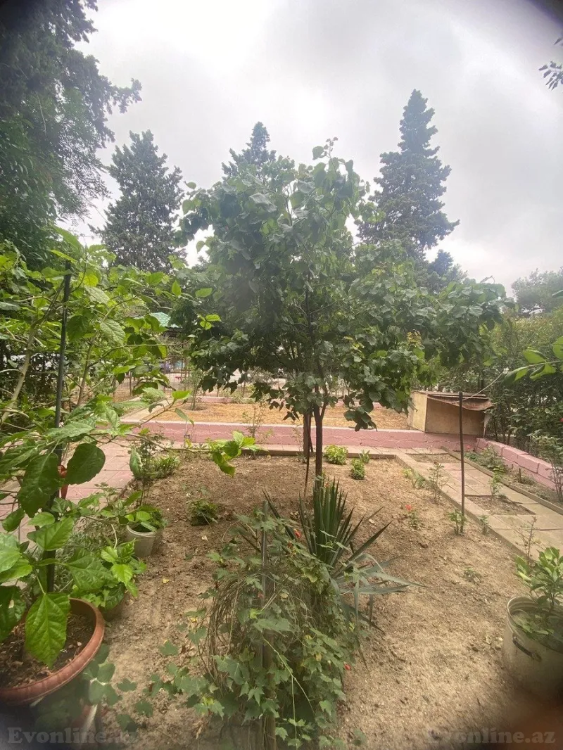 Satılır 3 otaqlı Mənzil Köhnə tikili 70 m² 8-ci kilometr - şəkil 8