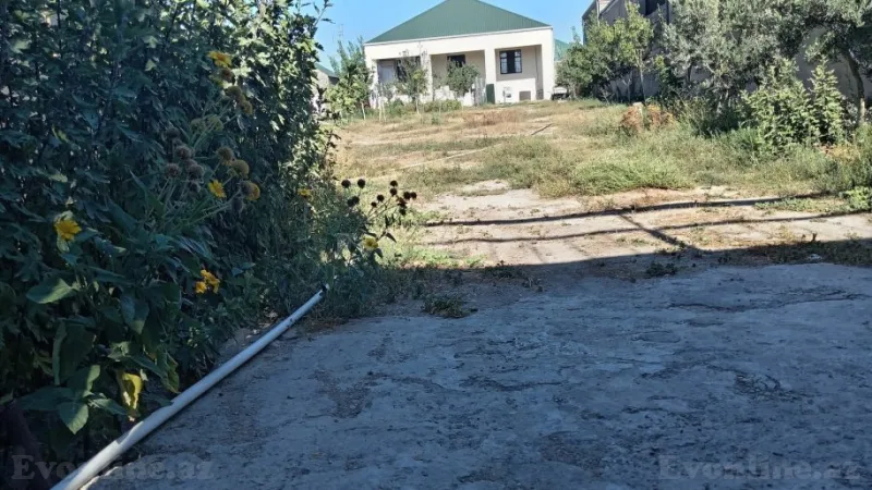 Satılır Torpaq 12 sot Qala - şəkil 2