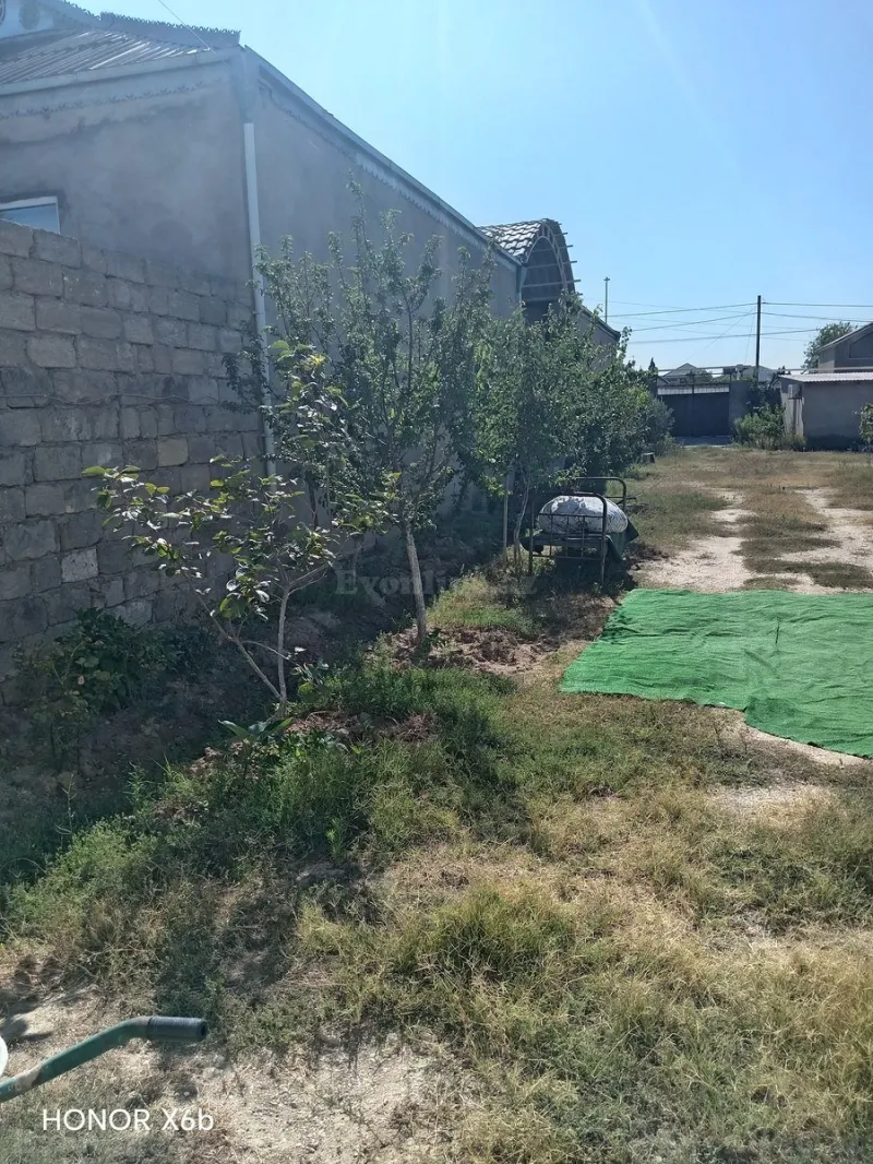 Satılır Torpaq 12 sot Qala - şəkil 3