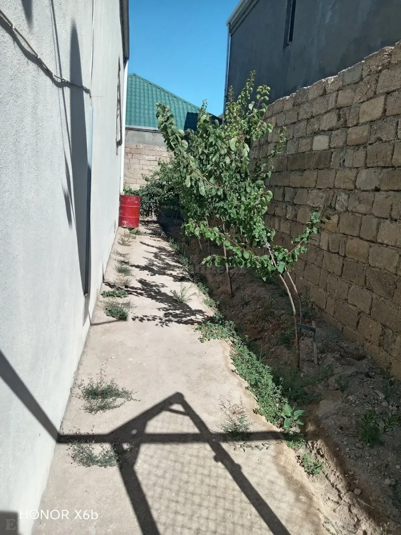 Satılır Torpaq 12 sot Qala - şəkil 4