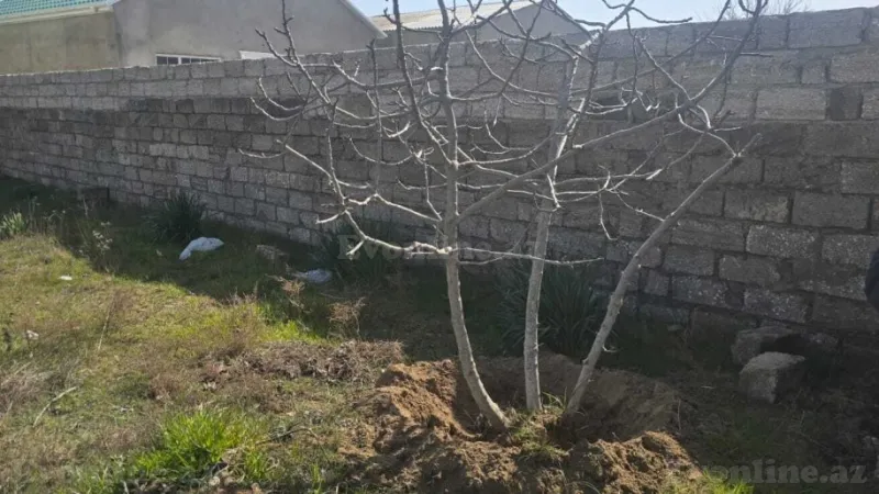 Satılır Torpaq 5.3 sot Sabunçu r. - şəkil 2