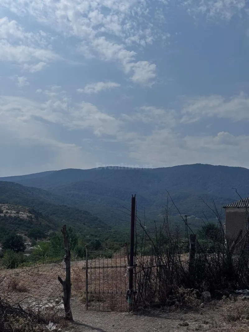 Satılır Torpaq 36 sot Şabran - şəkil 2