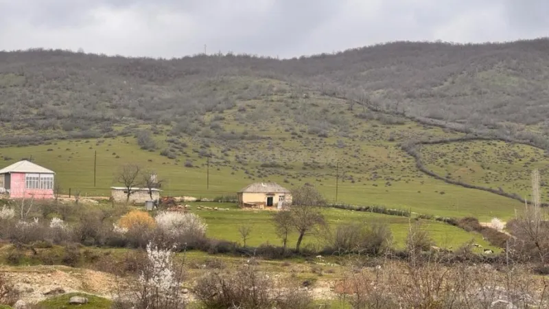 Satılır Torpaq 36 sot Şabran - şəkil 3