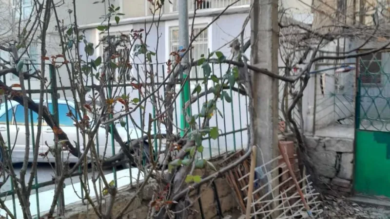 Satılır 5 otaqlı Mənzil Köhnə tikili 200 m² Bayıl - şəkil 13