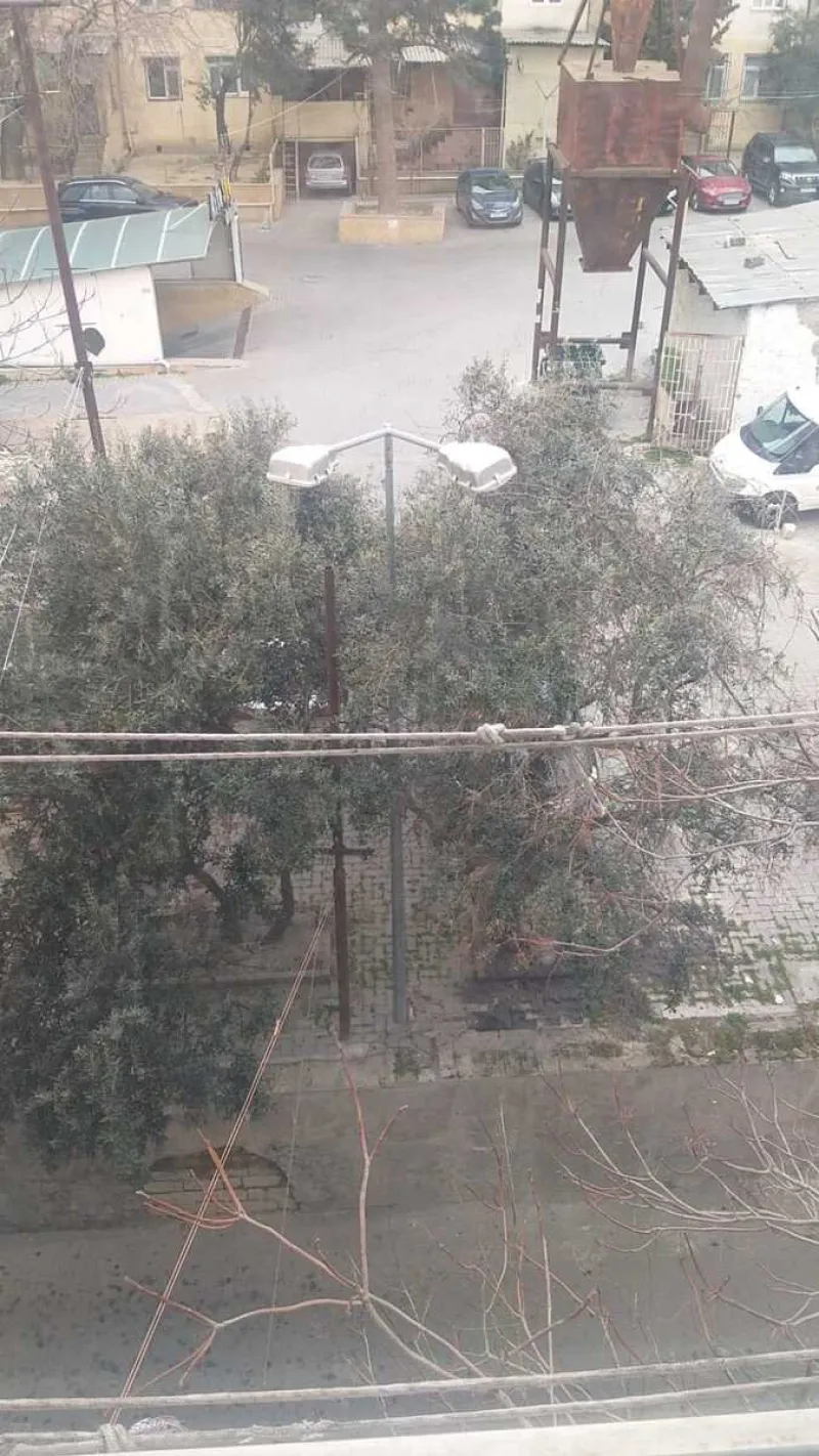 Kirayə verilir 2 otaqlı Mənzil Köhnə tikili 40 m² 5-ci mikrorayon - şəkil 6