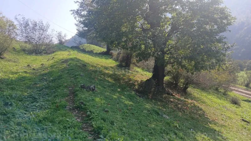 Satılır Torpaq 50 sot Yardımlı - şəkil 2