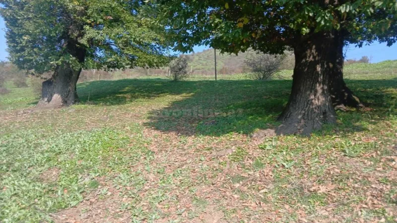 Satılır Torpaq 50 sot Yardımlı - şəkil 3